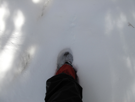 20140211hike (140)